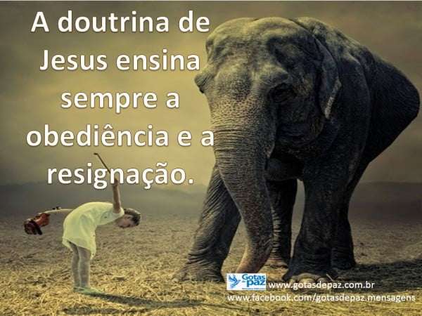 A doutrina de Jesus ensina sempre a obediência e a resignação. - Gotas ...