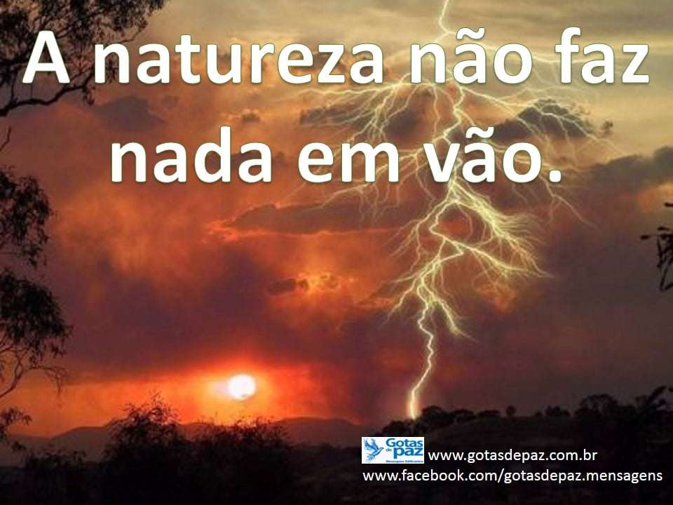 A natureza não faz nada em vão. - Gotas de PazGotas de Paz