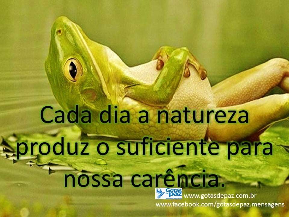 Cada Dia A Natureza Produz O Suficiente Para Nossa Carência. - Gotas De ...