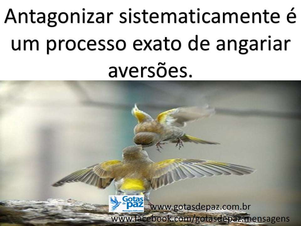 Antagonizar sistematicamente é um processo exato de angariar aversões ...