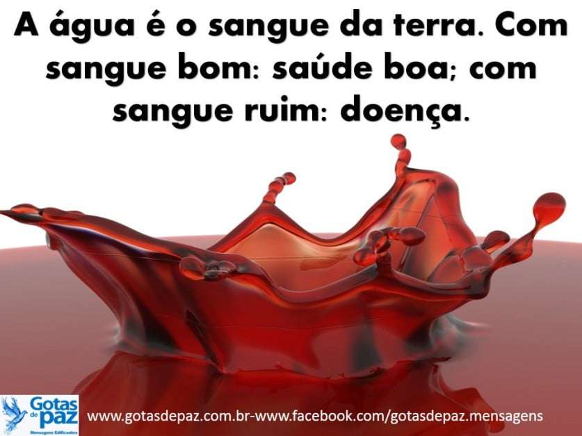 A água é o sangue da terra. Com sangue bom: saúde boa; com sangue ruim ...