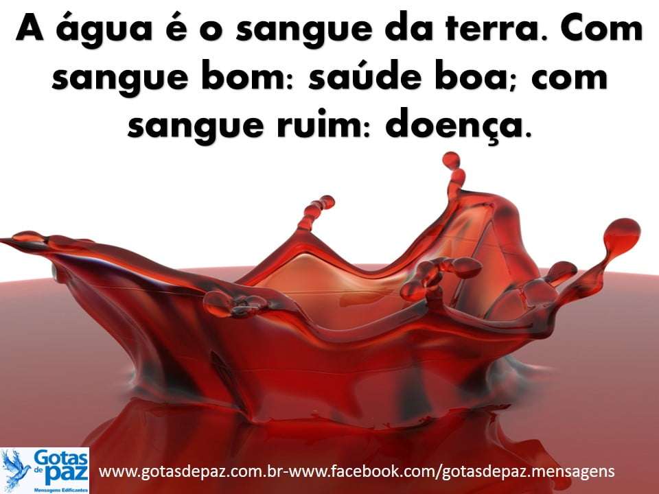 A água é o sangue da terra. Com sangue bom: saúde boa; com sangue ruim ...