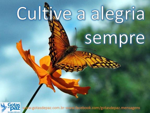 Cultive a alegria sempre - Gotas de PazGotas de Paz
