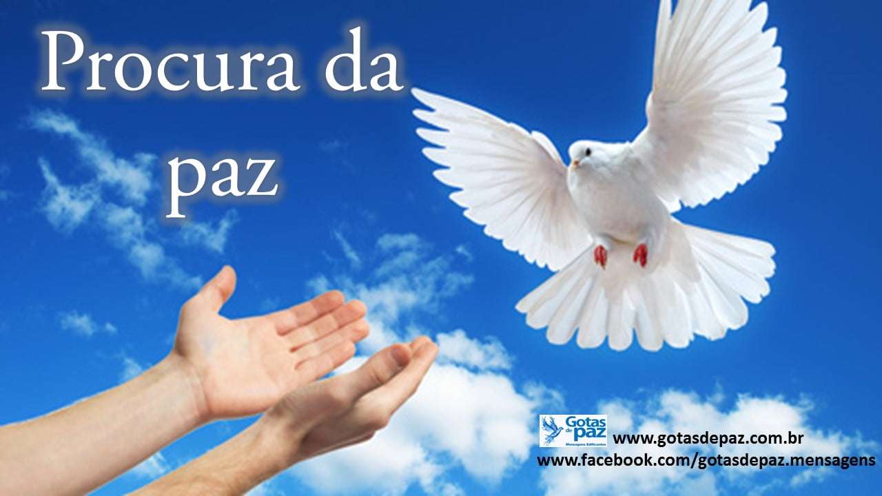 Procura da paz - Gotas de PazGotas de Paz