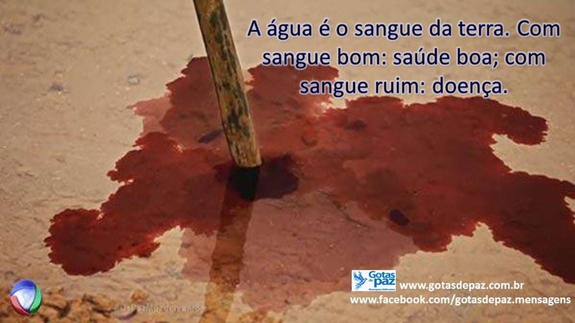 A água é o sangue da terra. Com sangue bom: saúde boa; com sangue ruim ...