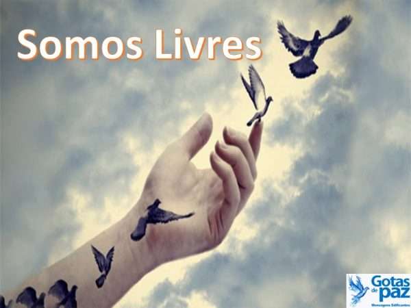 Somos Livres - Gotas de PazGotas de Paz