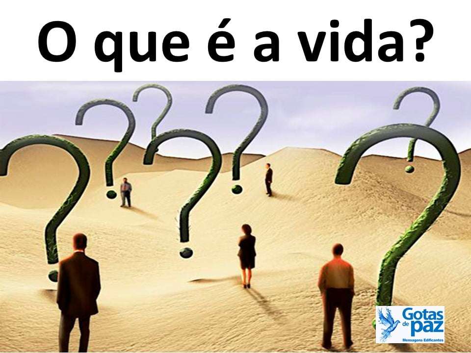 O que é a vida?