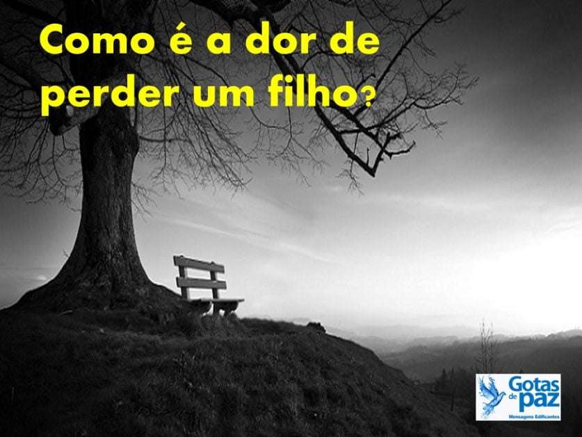 Como é a dor de perder um filho? - Gotas de PazGotas de Paz