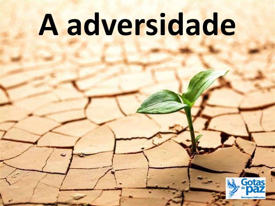 A adversidade - Gotas de PazGotas de Paz