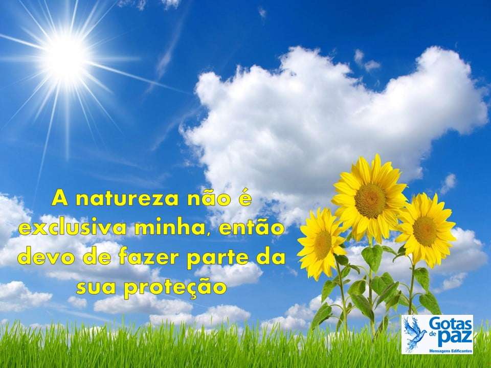 A natureza não faz nada em vão - Gotas de PazGotas de Paz