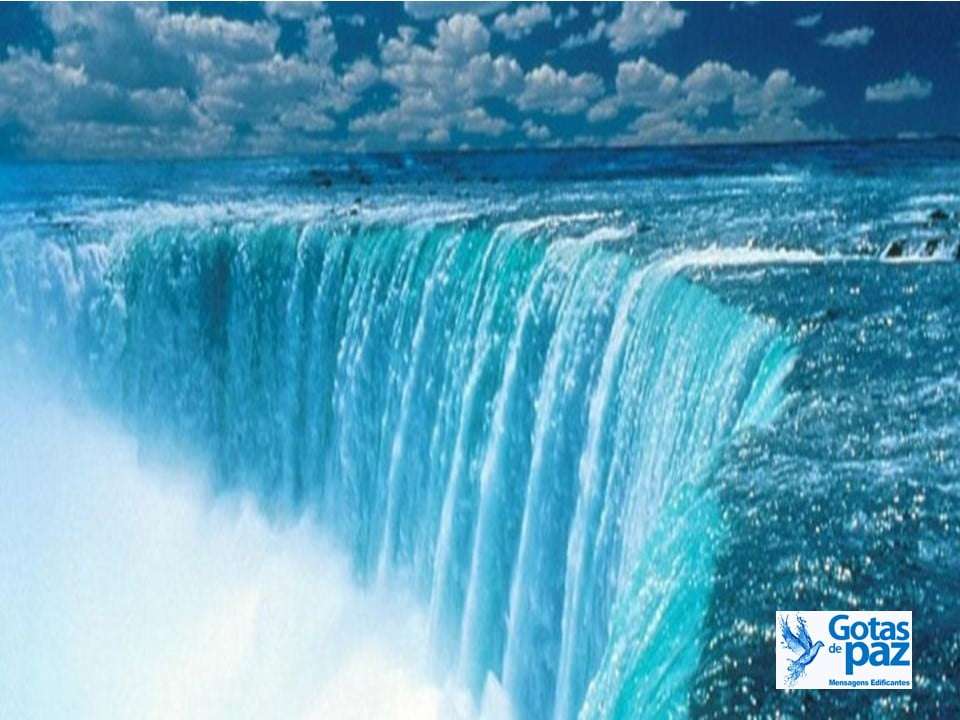 O rio e o oceano - Gotas de PazGotas de Paz