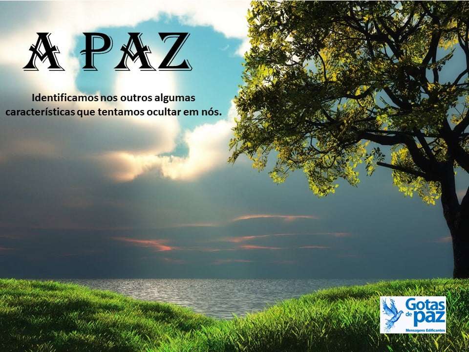 A paz - Gotas de PazGotas de Paz