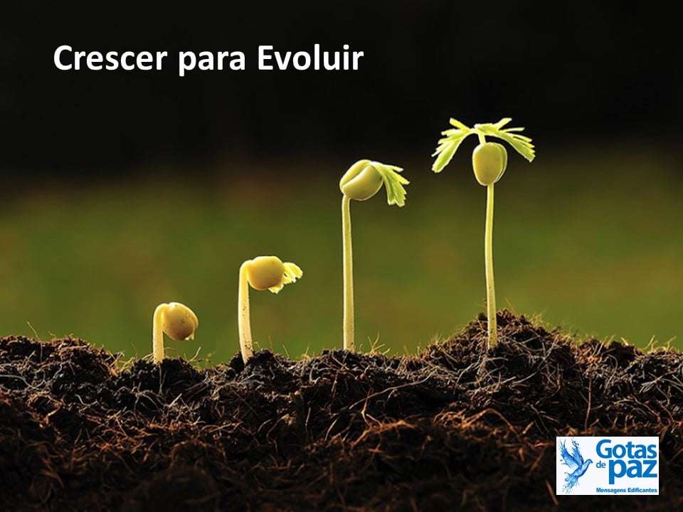Crescer para Evoluir - Gotas de PazGotas de Paz