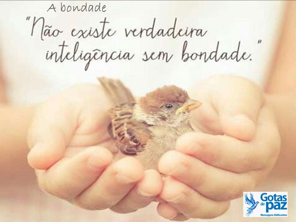 A bondade - Gotas de PazGotas de Paz