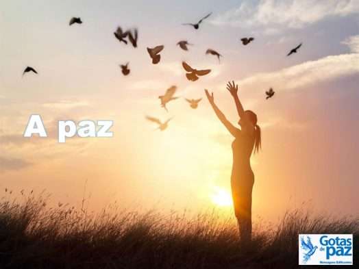 Gotas de Paz - Mensagens Edificantes - Gotas de PazGotas de Paz