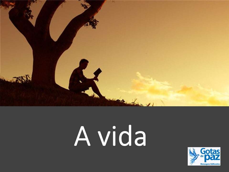 A vida Gotas de PazGotas de Paz