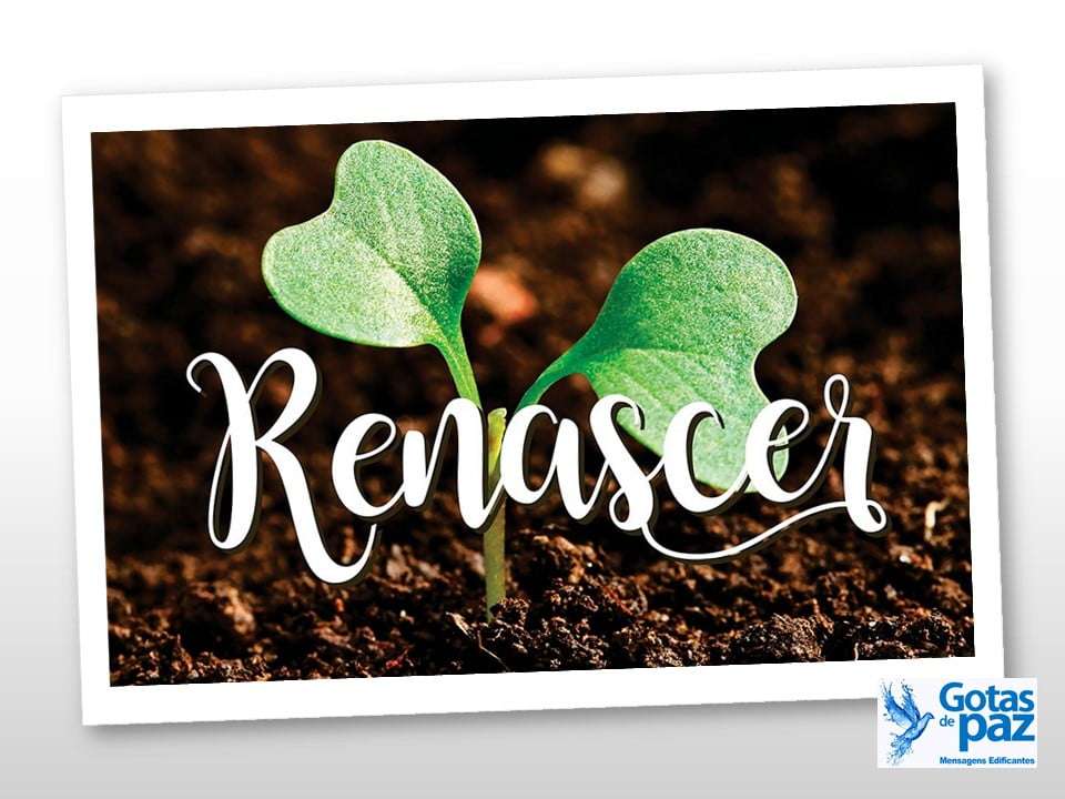 Renascer - Gotas de PazGotas de Paz